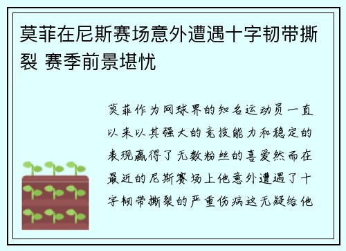 莫菲在尼斯赛场意外遭遇十字韧带撕裂 赛季前景堪忧